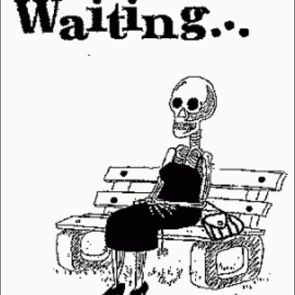 Meet your Posher, Christopher - Picture 1 of 1